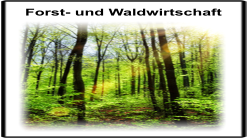 Forst- und Waldwirtschaft